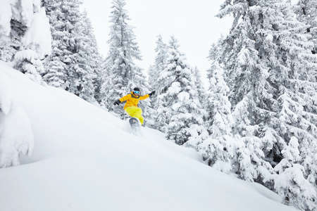 Snowboard freerider having fun on ski slope against beautiful trees in Alpsの写真素材