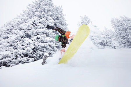Snowboard freerider moving down on ski slope splashing snow powder with snowy trees on background. Focus in motionの写真素材
