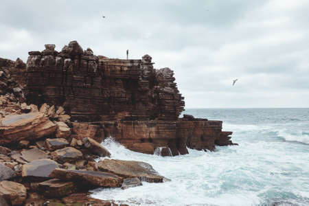 Young woman with flying hair standing on edge of cliff and enjoying view on heavy ocean with big waves and seagulls hovering in cloudy sky - adventure conceptの写真素材