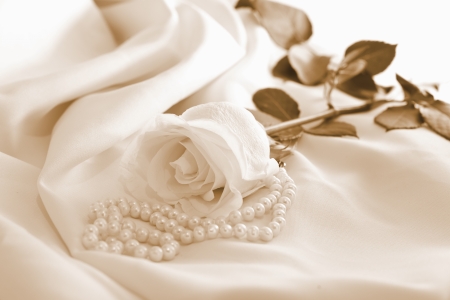 Roses with pearls in warm colorsの写真素材
