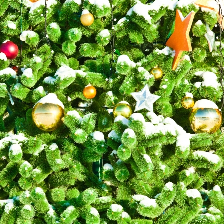 Background of decorated fir branchesの写真素材