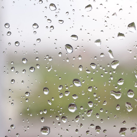 Raindrops on a window pane