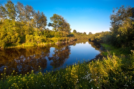 View of the river with trees reflected in the waterの写真素材