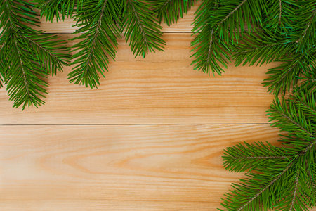 Spruce branch on a wooden background