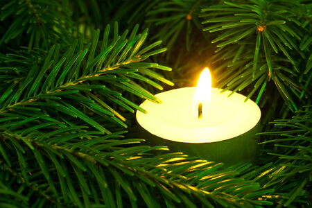  Burning candle of spruce needlesの写真素材