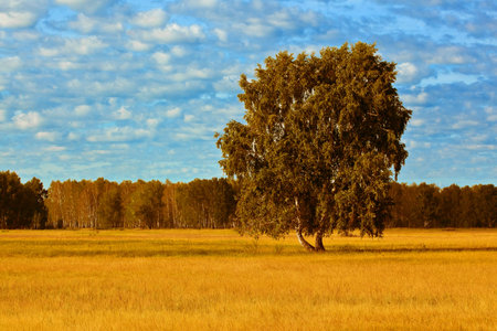 Landscape in red tonesの写真素材