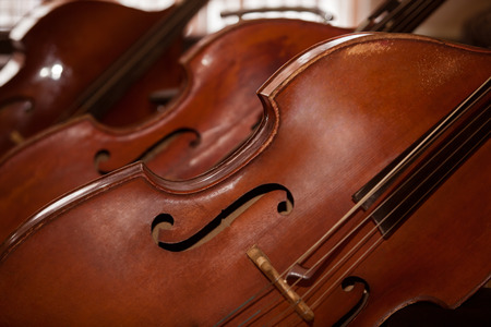 fragment double bassesの写真素材