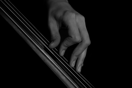 The fingers on the strings of the cello in black and whiteの写真素材