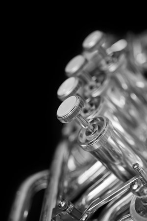 Fragment of a bass tuba valves closeup in black and white