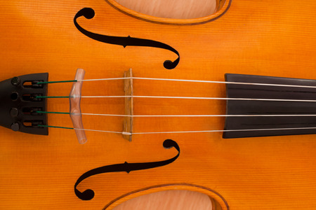Detail closeup of a violinの写真素材
