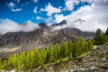 mountain peaks in the cloudsの写真素材