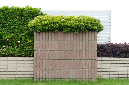 Decorative garden on a brick fence isolated on white backgroundの写真素材