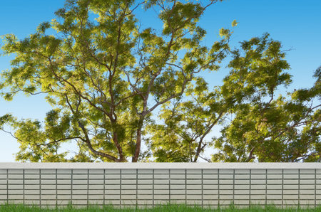 brick fence and big tree backgroundの写真素材