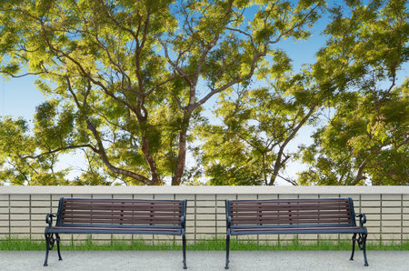 bench and big tree backgroundの写真素材