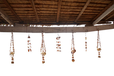seashell decoration string on white background