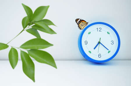 blue clock with butterfly and green leaf foregroundの写真素材
