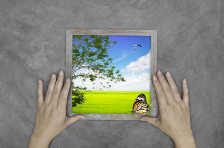 hand holding images of nature on concrete wallの写真素材