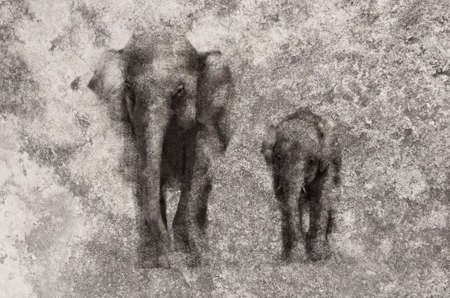elephants on dirty old grunge cement wallの写真素材