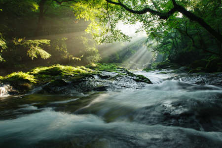 Beam of light
