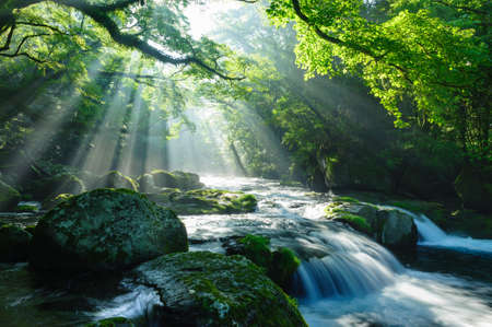 Beam of lightの写真素材