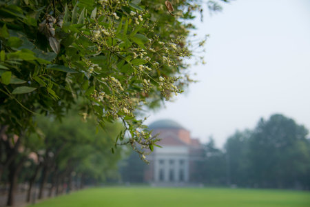 Scenery at Tsinghua universityのeditorial素材