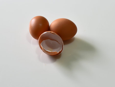 Egg with the Eggshell
