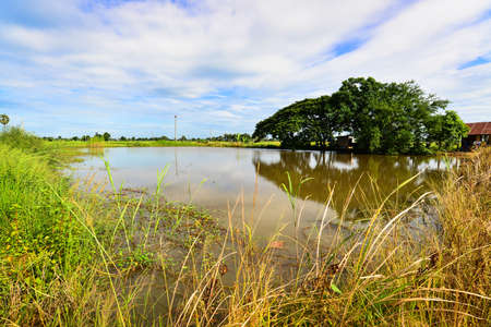 Pond for use in Agriculture, Rural of Thailand, Phichitの写真素材