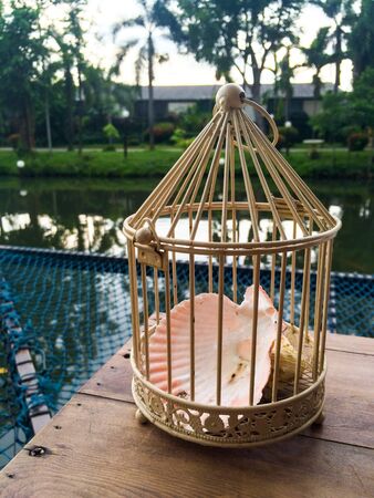 shell in the cage, on the wood groundの写真素材