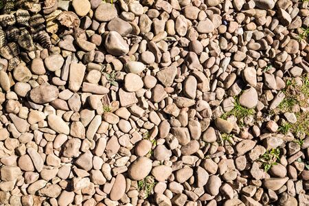 Brown stone on a ground floor with some weed, Background pictureの写真素材
