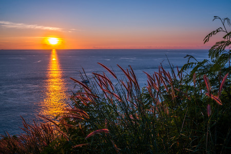 Grass Field in front of the sunset at Leam PromThep Cape in Phuket, Amazing Thailandの写真素材