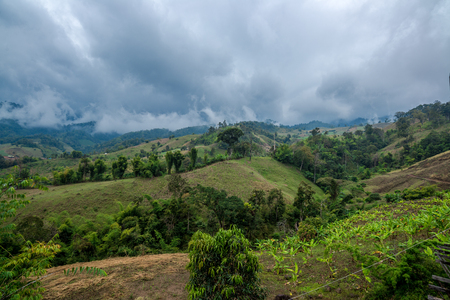 Banana Agriculture on the mountain in forest with mist and cloudy sky, Traveling in Thailandの写真素材