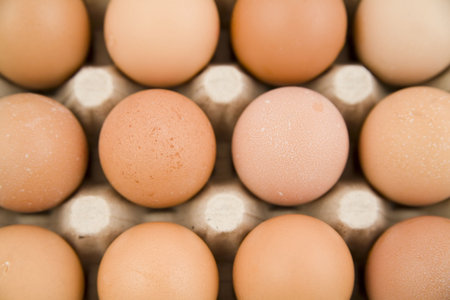 plenty of eggs in paper container