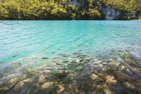 plitvicka jezera national park - the most beautiful part of Croatiaの写真素材