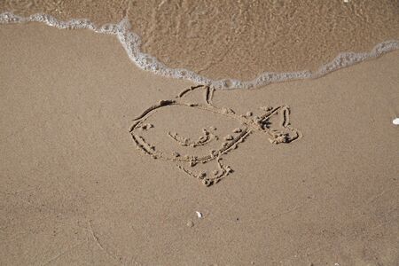 picture of fish on the coast of Baltic seaの写真素材