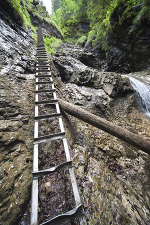 ladder near mountain waterfall in Slovak Paradise National Parkの写真素材