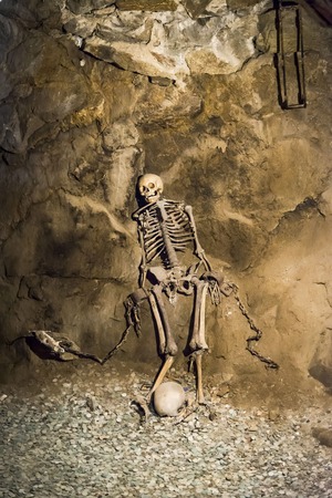 Skeleton in dungeonの写真素材