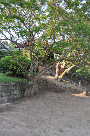 Korean Confucian Academy from Joseon Dynasty era. Old trees surrounding spirit gate to shrine. Byeongsan Seowon, Andong, South Korea.のeditorial素材
