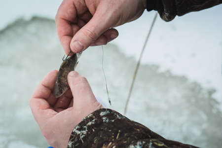 Male hands holding a bait for winter fishingの写真素材