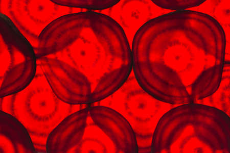 Backlit of red beetroot round slices on white, pattern for textured background. Abstract art composition of fresh organic vegetablesの写真素材