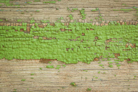 The background picture of the old green wooden Board. Texture, background.の写真素材