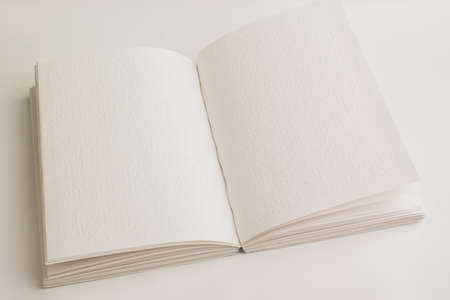 An open book with Braille for blind people. The world day of Braille.の写真素材