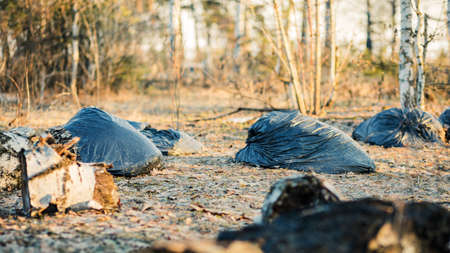heaps of garbage bags thrown out in the woodsの写真素材