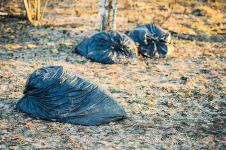 heaps of garbage bags thrown out in the woods