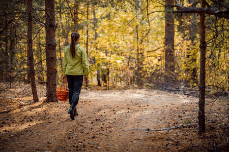 Beautiful girl in the autumn forest to gather mushrooms. Stay in the fresh airの写真素材