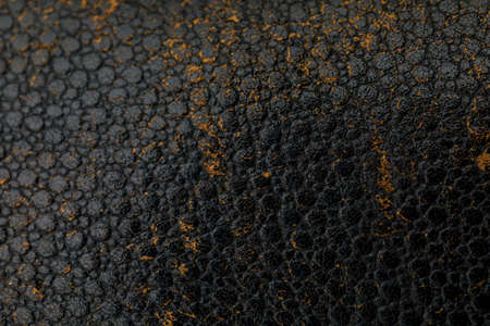 Black skin, background image, texture.