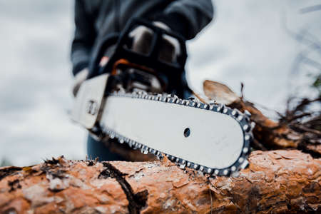 Close up professional chainsaw cuts firewoods.の写真素材