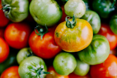 Macro photography of a tomato. Tomatoes lie in rows. Selective focusの写真素材