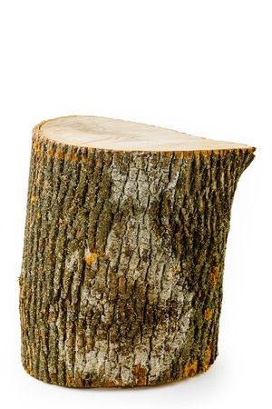 Wooden stump isolated on white background. Round log tree with annual rings in the form of wood...