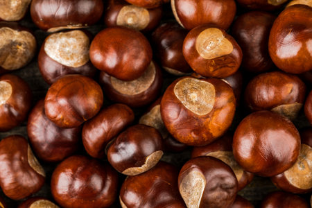 Lots of ripe chestnuts to eat. Background image.の写真素材