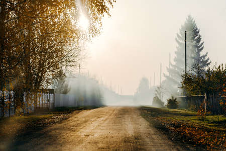 Autumn road between houses in the smoke of bonfiresの写真素材